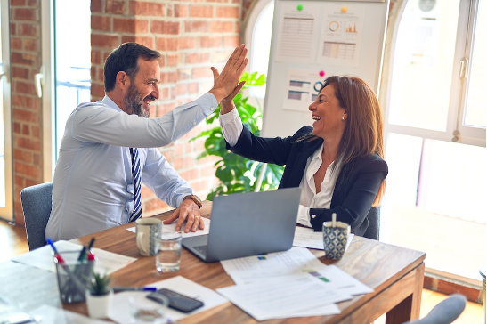 real estate consultant
